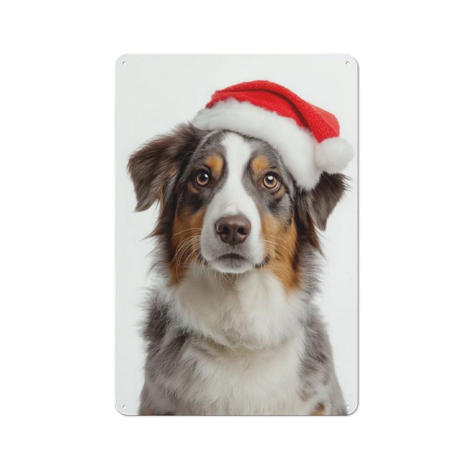 Junmoney Australian Shepherd Dog With Santa Hat Portra It Vintage Metal Wall Sign 30X20cm For Garage Or Workshop, For Metal Sign Collectors, For Garage And Workshop Walls