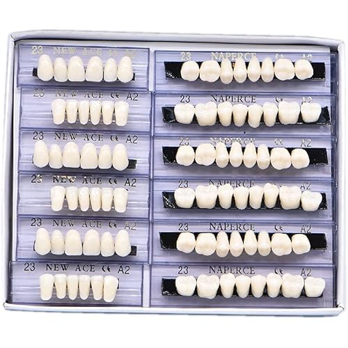 RZJZGZ 168 Pcs Dental Synthetic Resin Tooth Denture Temporary False Teeth 6 Sets False Teeth 23 A2