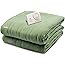Biddeford Blankets Comfort Knit Electric Heated Blanket with Analog Controller, Twin, Sage Green