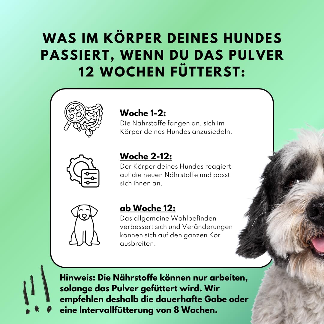 people who kaer Zahn Frische Pulver für Hunde, 3 x 200g – 2-in-1 Zahnpasta & Ergänzungsfutter, Zahnpflege Hund, unterstützt bei Maulgeruch & Zahnstein, Zahnpulver Hund, Hundezahnpasta