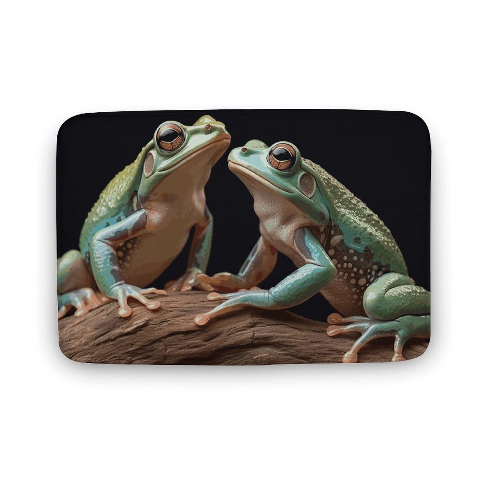 Coral Velvet Door Mat Indoor Outdoor Mat Non-Slip Rubber Backing Welcome Mat Washable Entryway Rug Two Frogs Doormats Absorbent Bath Mats for Bathroom
