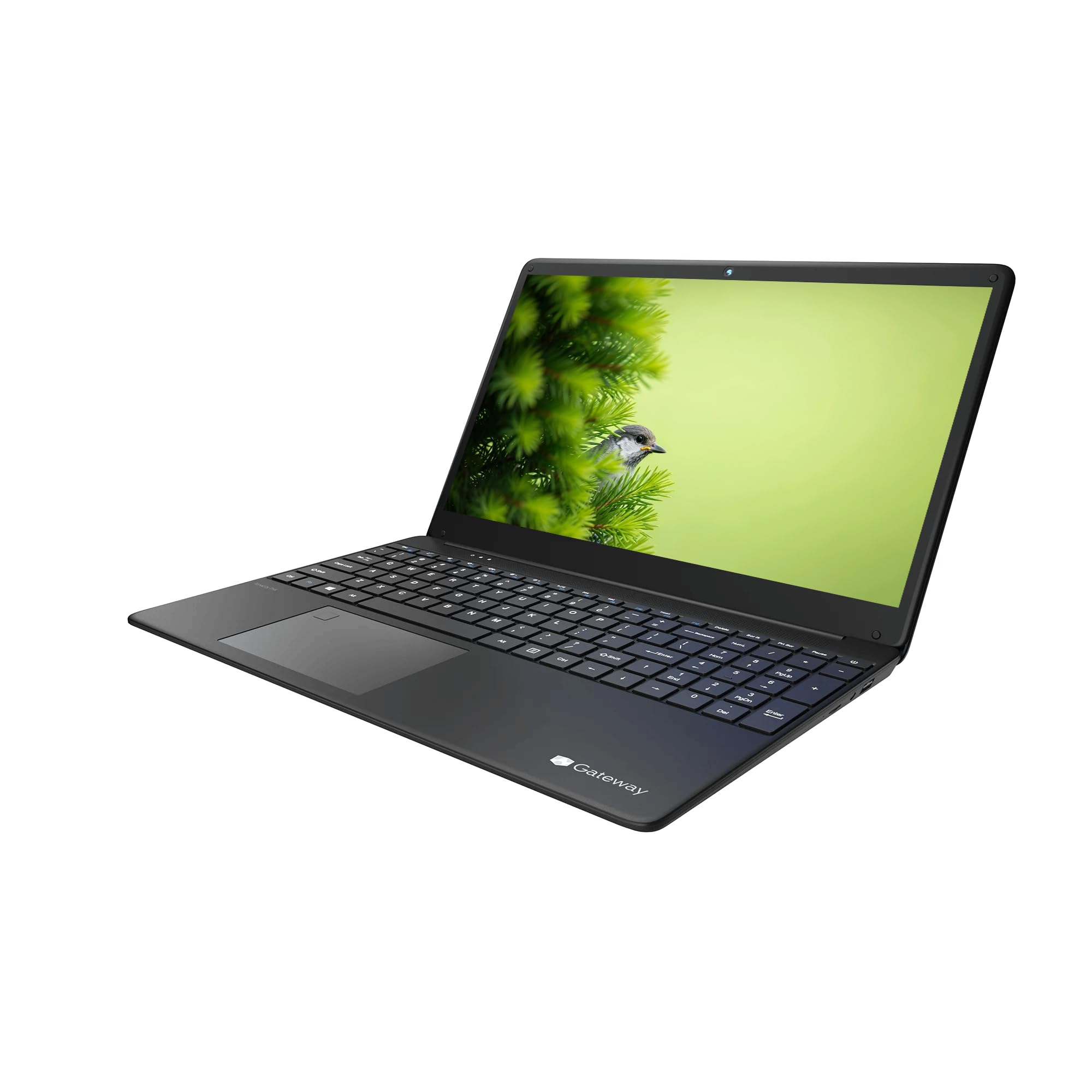 Amazon.com: Acer Gateway 15.6