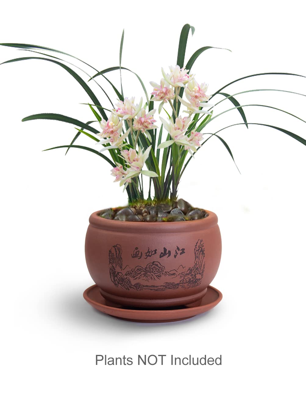 Dahlia 12,2 cm piękna sceneria Zisha bonsai sadzarka/doniczka na sukulenty/doniczka ze spodkiem, brązowa