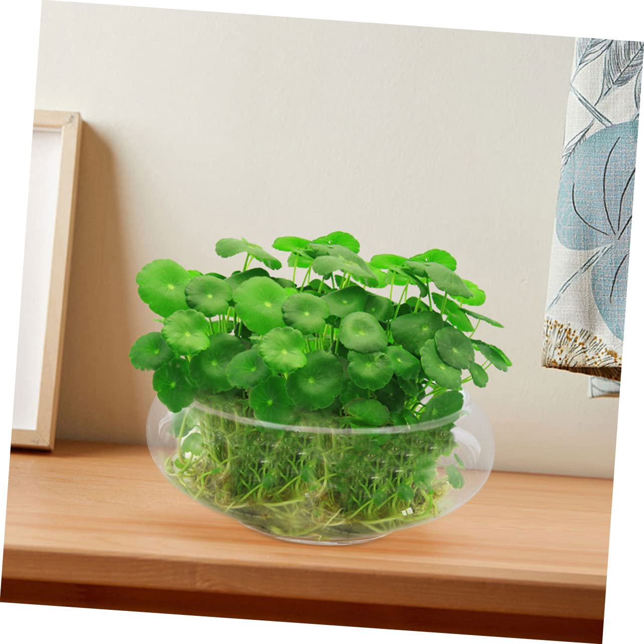 POPETPOP Maceta de Cristal Olla multifunción Olla Multifuncional decoración del Escritorio de Trabajo tazón de Burbujas de Vidrio decoración Retro Planta Maceta hidropónica pecera Loto