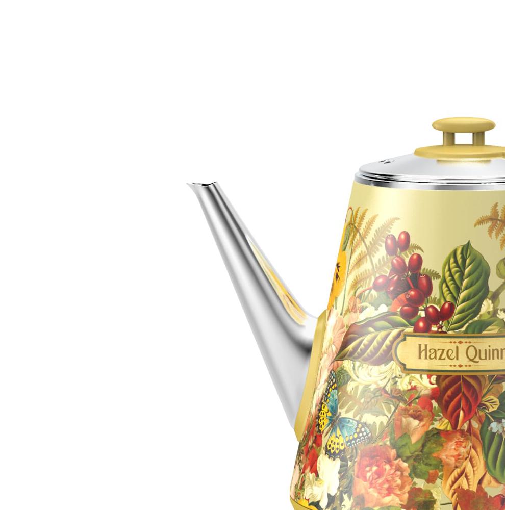 Amazon.com: Hazel Quinn Retro X Eduardo Recife Collaboration