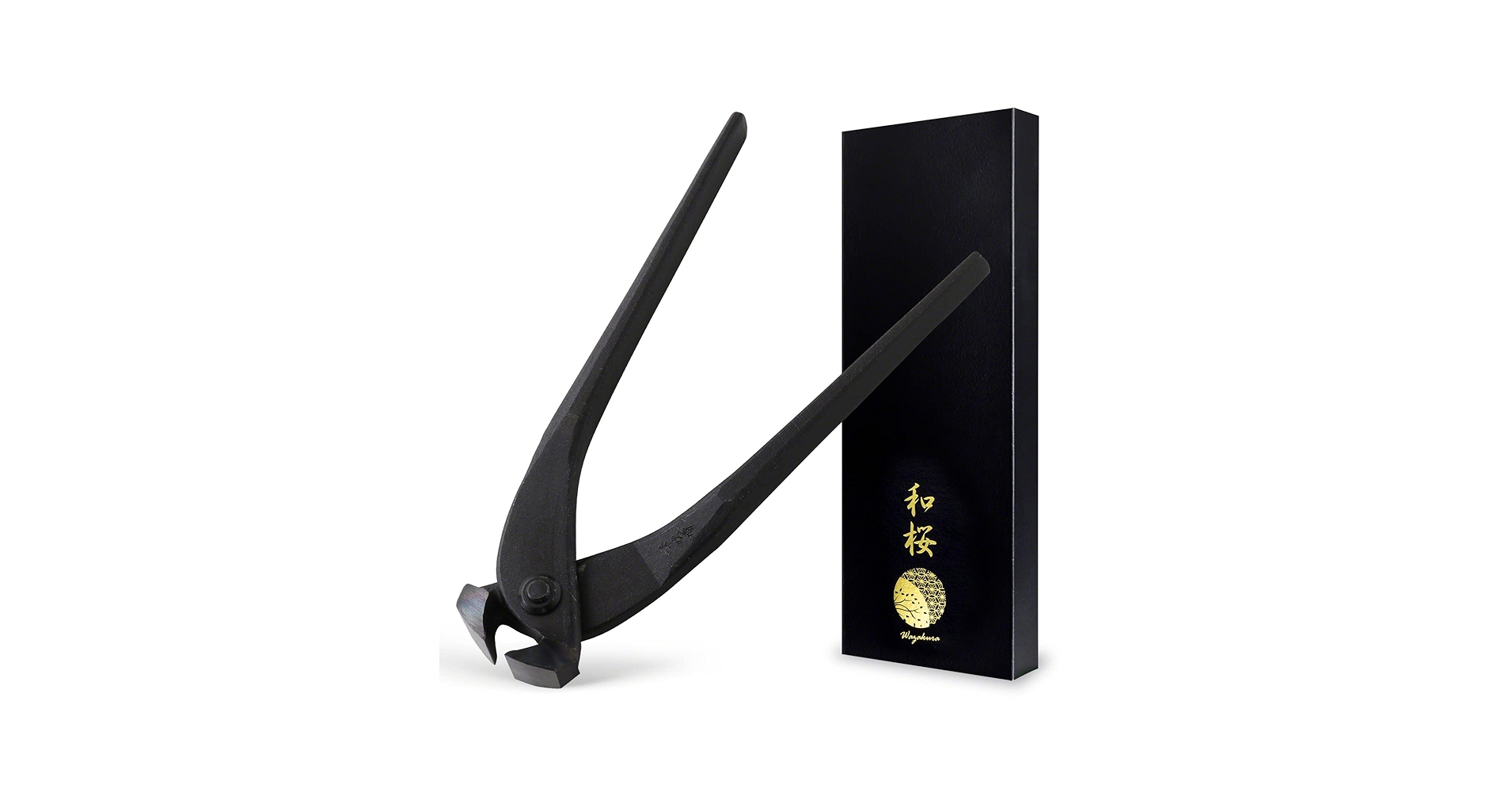 613vRiO9TyL.jpg_BO30,255,255,