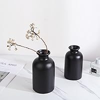 Vista 26 de Floreros secos de flores, florero de cerámica, decoración de sala de estar, arreglo floral decoración accesorios de tiro