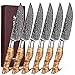 HEZHEN 6 pièces ensemble de couteaux de cuisine couteau à steak en acier à haute teneur en carbone forgé damas professionnel Coffret cadeau poignée en bois de sycomore figuré-porcelaine