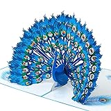 Stolzer Pfau · Handgemachte 3D Pop Up Karte mit Umschlag, Geburtstagskarte aus Recyclingpapier für Frauen und Mädchen zum Muttertag, Hochzeit, Jubiläum, Geburtstag, Liebeserklärung