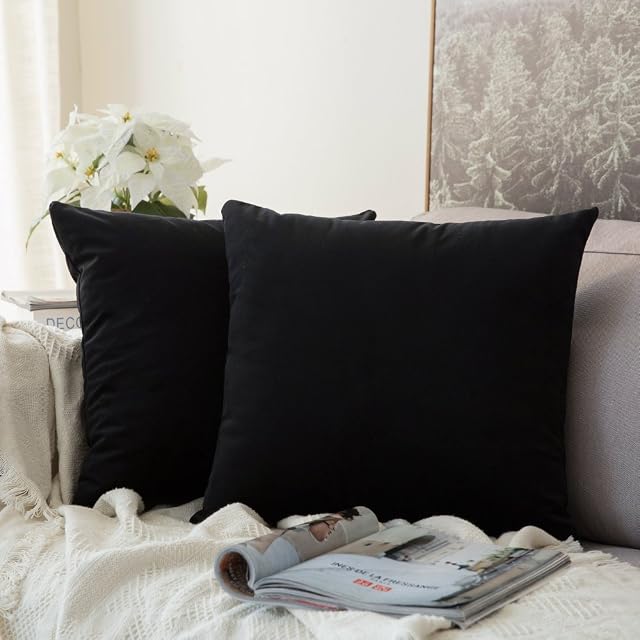 MIULEE Velvet Soft Soild Microfiber Decorative Square Pillow Case Throw Cushion Cover for Sofa Bedroom with Invisible Zipper 16x16 Inch 40x40cm Black Set of 2 Lined