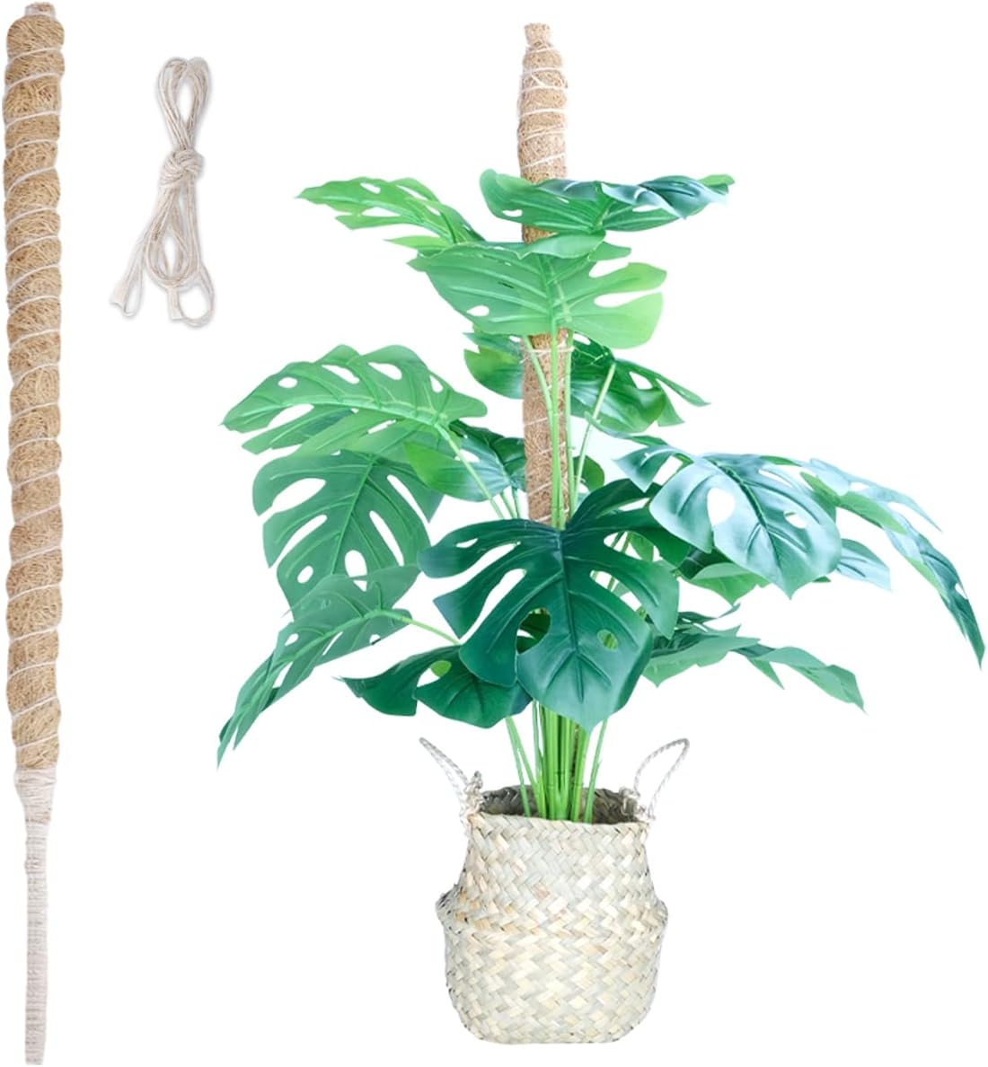 Amazon.com: AZAMIA 1 入 25 英吋(約 25 公分)苔蘚桿 適用於植物怪物 - 可彎曲的植物棒 適用於攀爬植物生長,苗條 ...