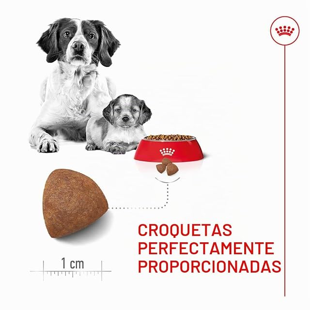 Foto 4 de 8 de ROYAL CANINE STARTER MEDIUM 15KG