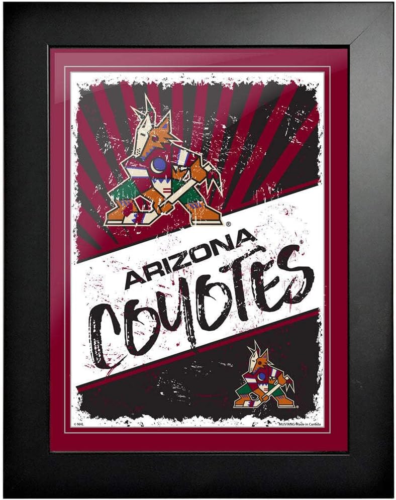 That's My Ticket Arizona Coyotes Classic Framed Artwork