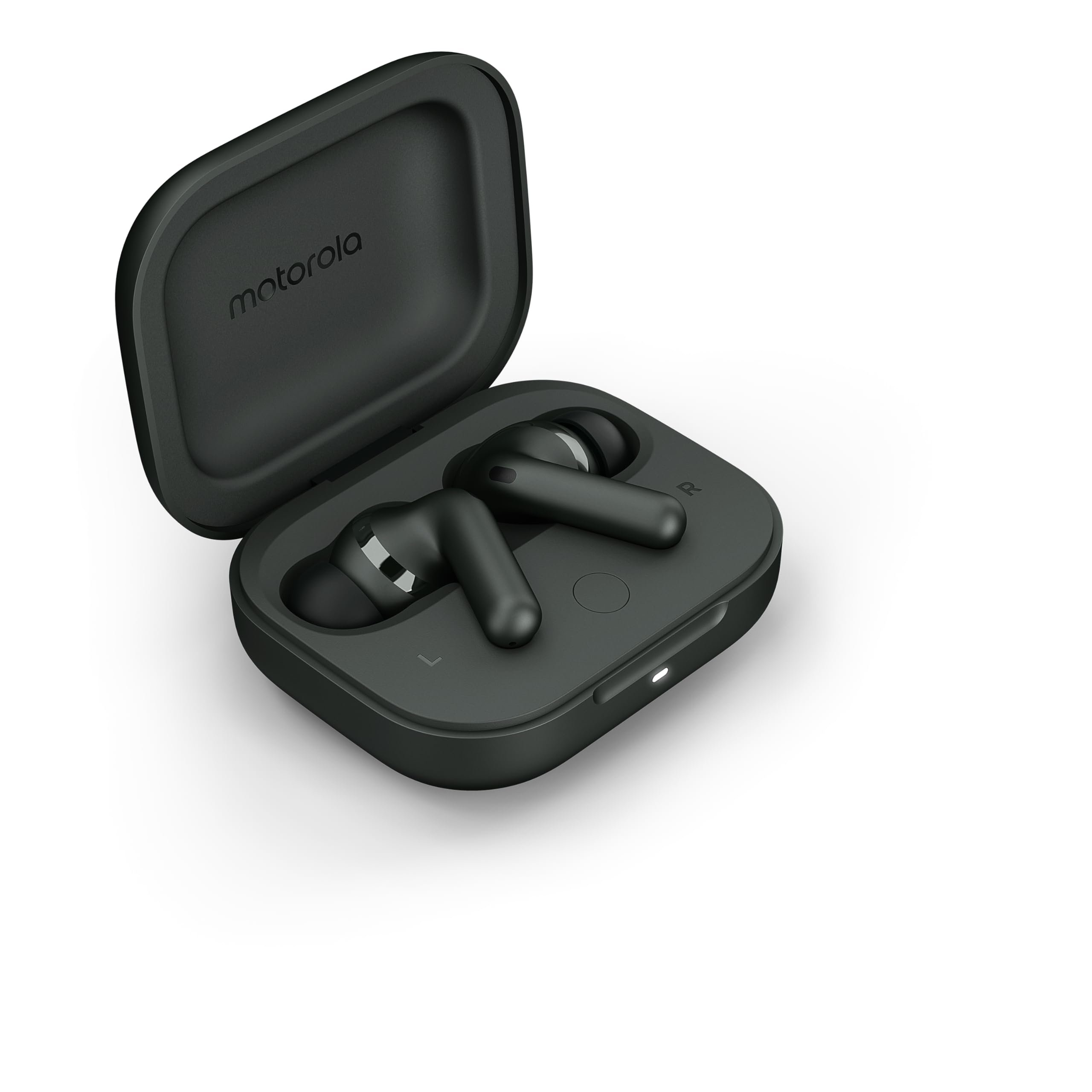 Motorola Mobility Moto Buds+ Sound by Bose (Bluetooth 5.3 Earbuds, Dolby Head Tracking + Dolby Atmos, aktive Geräuschunterdrückung, kabelloses Laden, bis zu 38 Stunden Akku),Forest Grey