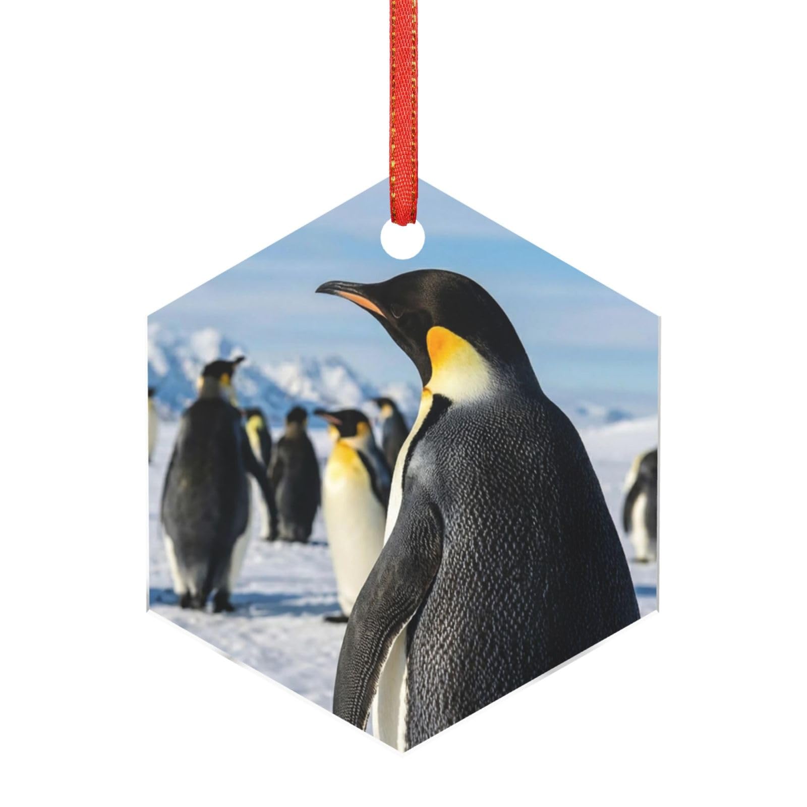 Hjkjkkj Hexagon Acrylic Ornament Christmas Tree Decoration Clear Round Pendant With Red Ribbon Penguins Christmas Ornaments Indoor Outdoor Hanging Acrylic Pendants For Xmas Party Decor