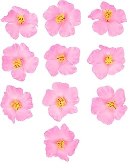 VALICLUD Hibiscus Flowers Decor Artificial Flower Head DIY Hawaii Flower Flowers Neck Loop Tropical Party Decoration Photo Props for Wedding Hawaiian Luau Party Pink 10pcs