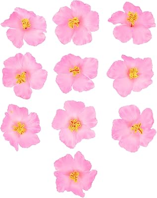 Set di gioielli con fiori di plumeria delle Hawaii, orecchini in