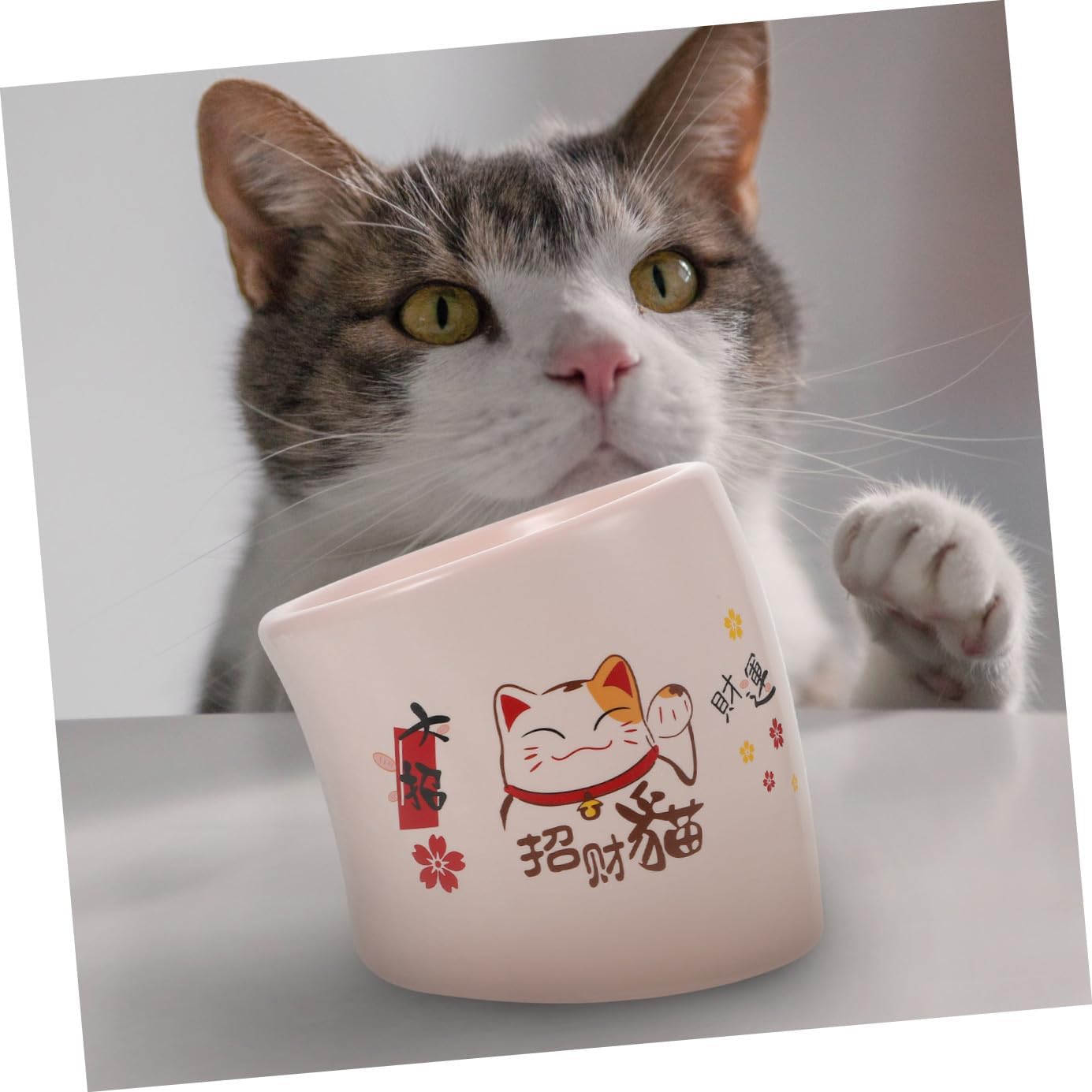 Cabilock Elevated Ceramic Cat Bowl Anti-Spill Pink Non-Slip Pet Feeding Dish Neck Protection Suitable for Kittens and Small Cats