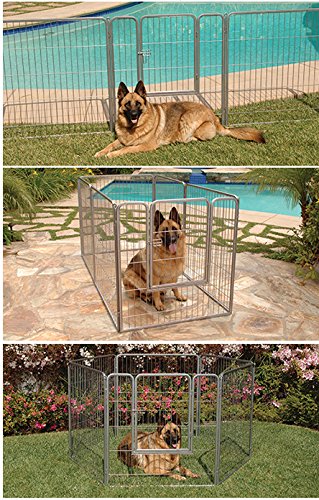 Precision プレシジョン　 ペットケージ Amazon | 【ALLFORWAN'sLIFE】 【PrecisionPet】 アメリカプレシジョン