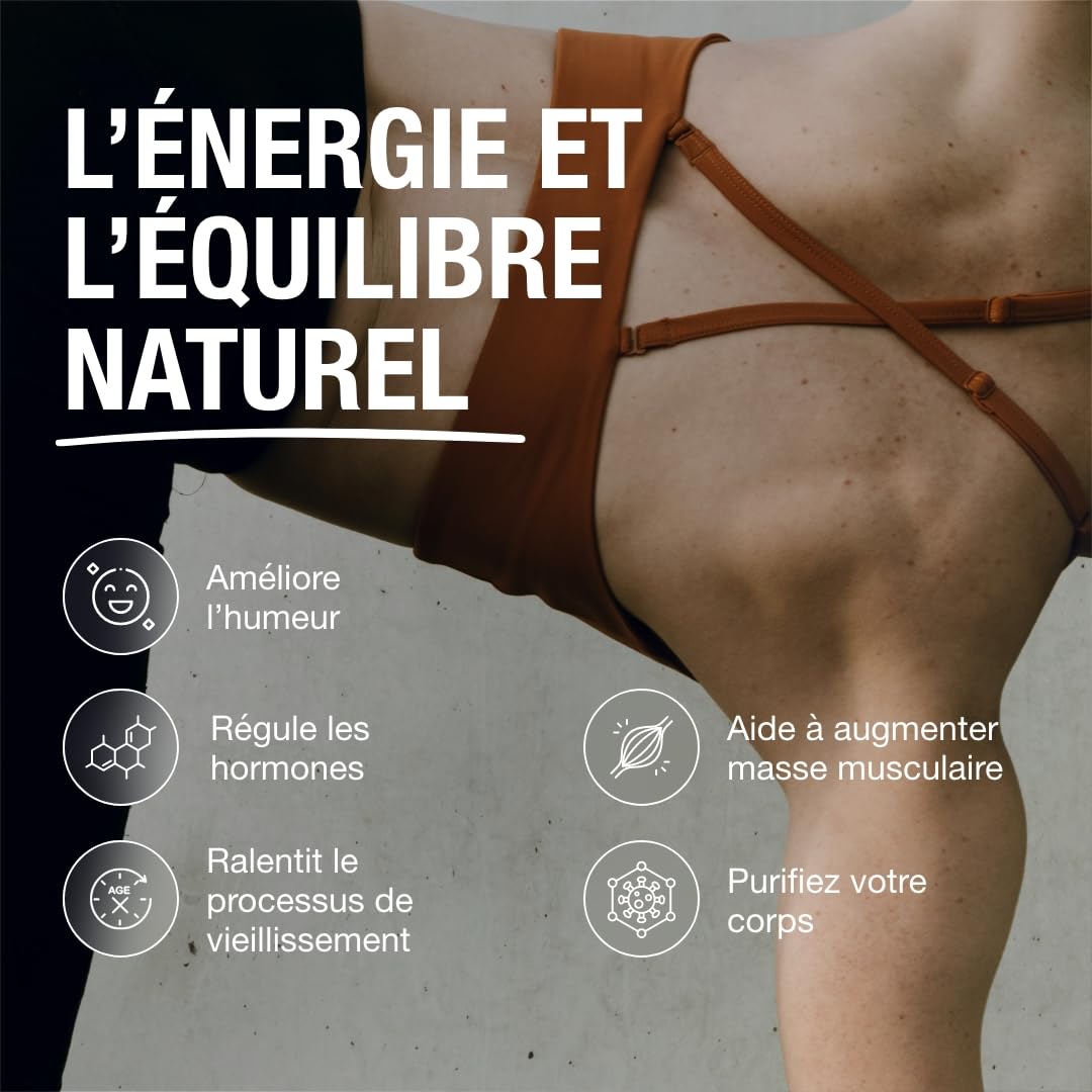 Maca Andina Ultra Concentrée 40.000 mg/jour 25:1 | L-Arginine, Zinc, Vit. B6 & Ginkgo – Énergie, Vitalité & Puissance Personnelle | 90 Capsules