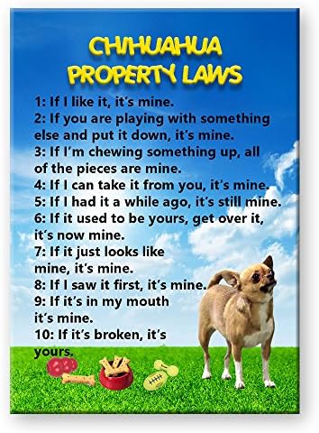 Chihuahua Property Laws Fridge Magnet No 1 Funny