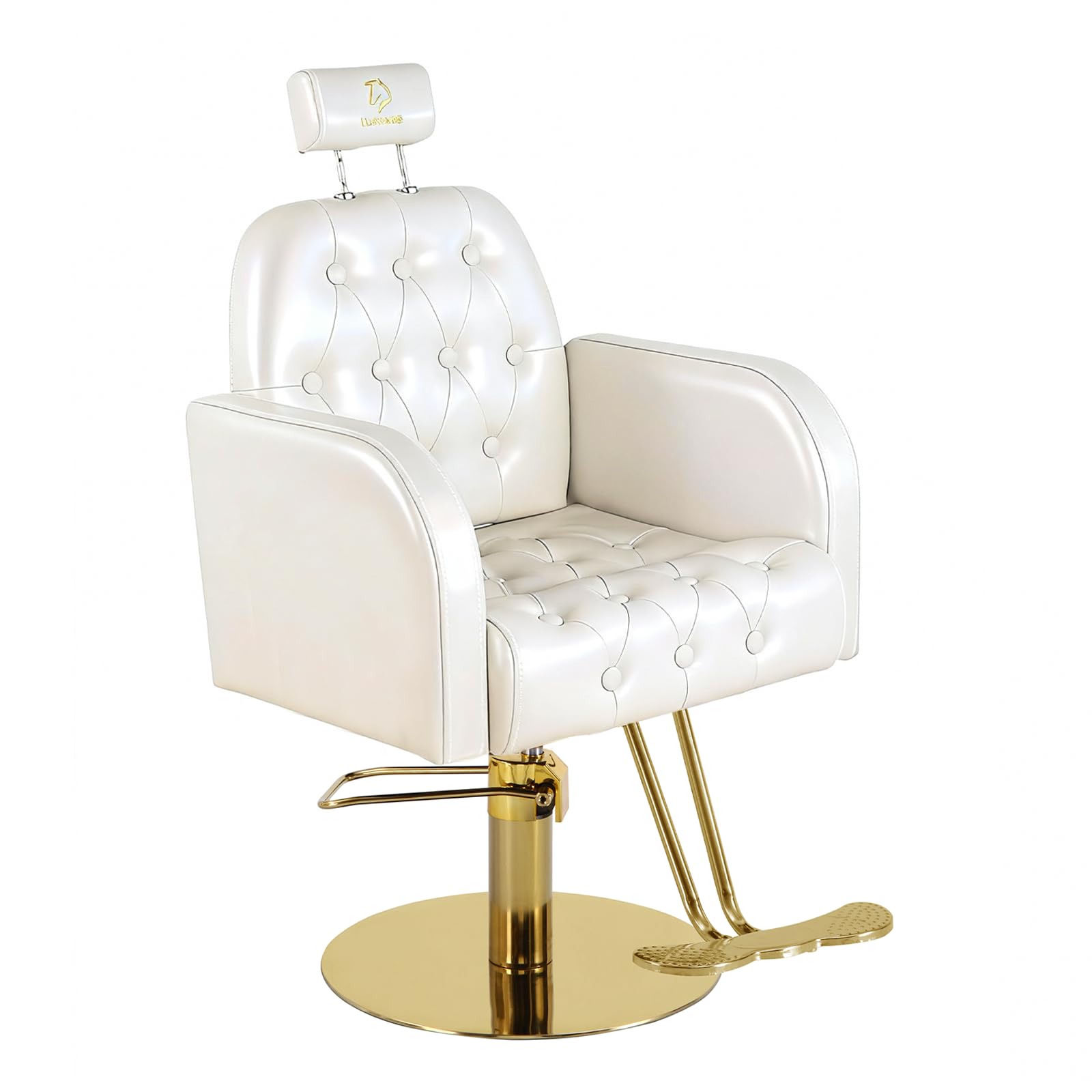 Vintage Barber Chair,360° Swivel Salon Chair with Reclining,Adjustable Height,Professional Stylist Chair with Heavy-Duty Hydraulic Pump,Spa Equipment for Barbershop,Beauty,Home (Glossy White)