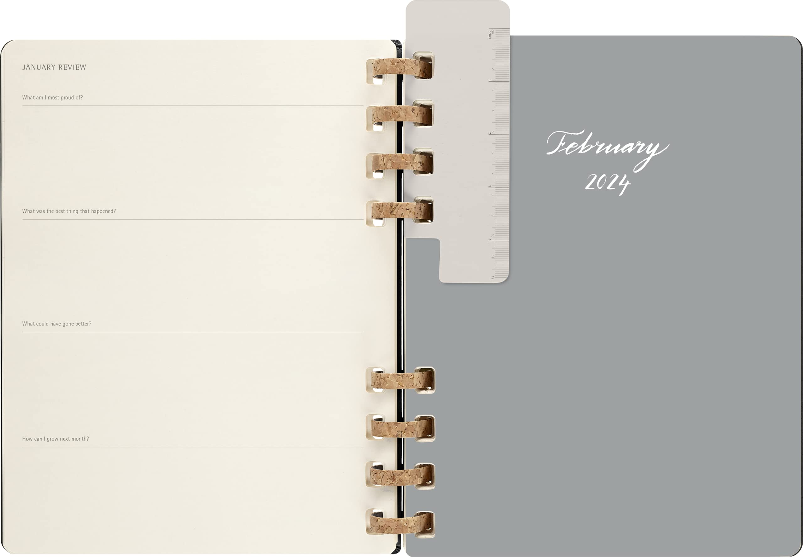 Moleskine Wochen- und Monatsplaner , 12 Monate 2024, Agenda 2024, XL 20,4x25,2, Hardcover mit Gummizugverschluss, Farbe Schwarz