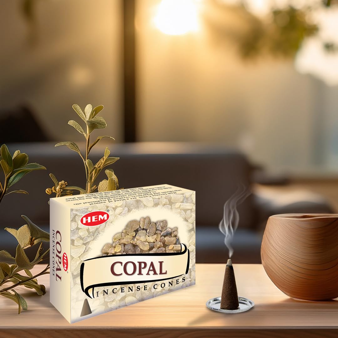 Amazon.com: HEM Copal Incense Cones – Pack of 120 Cones (10 Boxes
