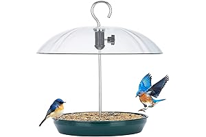 Kingsyard Mealworm Feeders for Bluebirds