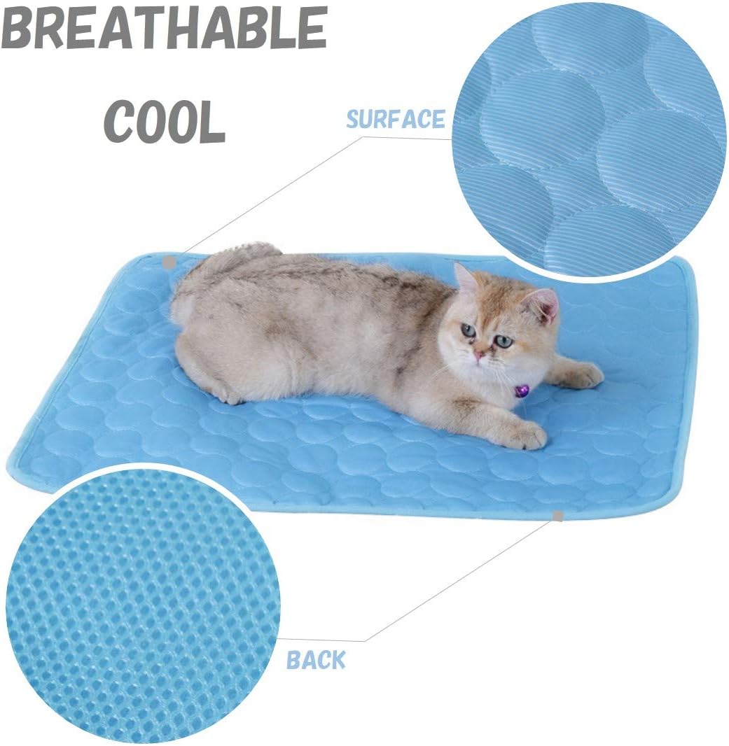 Summer Pet Cat Pad Dog Mat, Washable Car Dog Blanket Cat Sleep Cushion for Kennel Sofa Bed Floor, Travel Car Seats for Little, Medium, Large Pets Indoors Outdoors