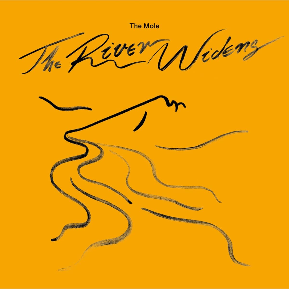 The River Widens Dl)
