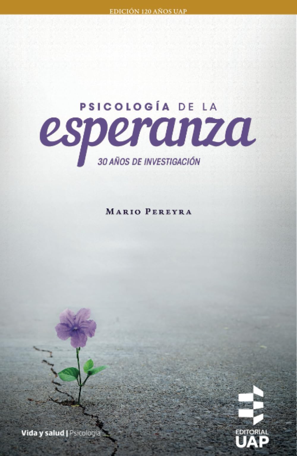 Psicología de la esperanza: 30 años de investigación