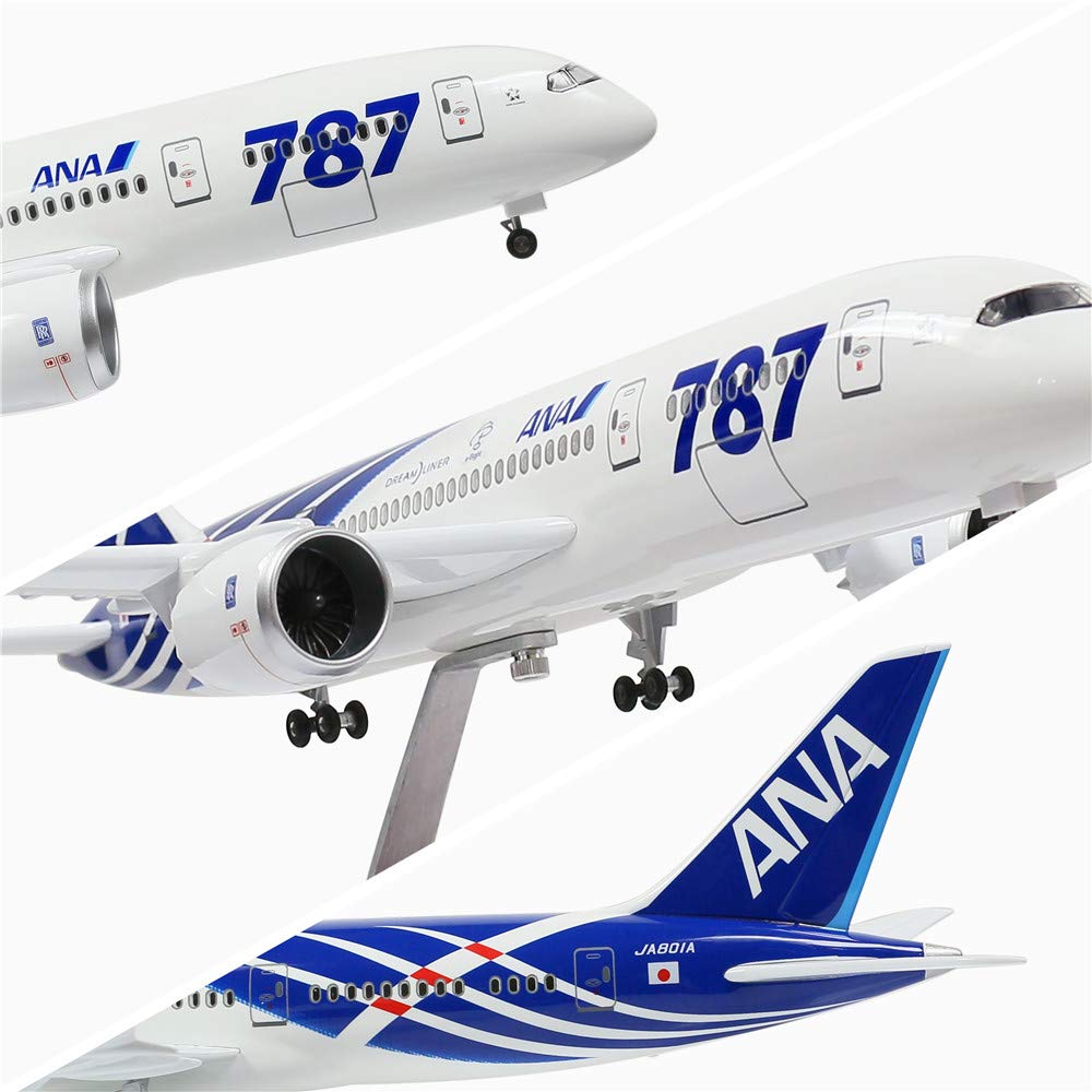 Amazon.co.jp: 24時間 18インチ 1:130 飛行機モデル All Nippon B787