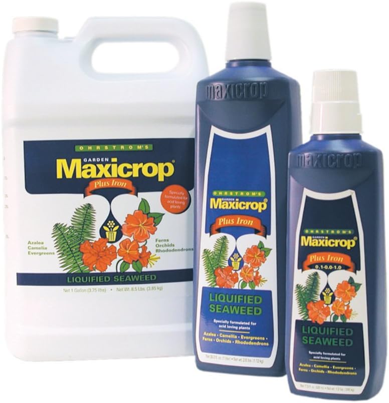 Plus Iron Liquid Seaweed Plant Nutrient Size: 1 Gallon