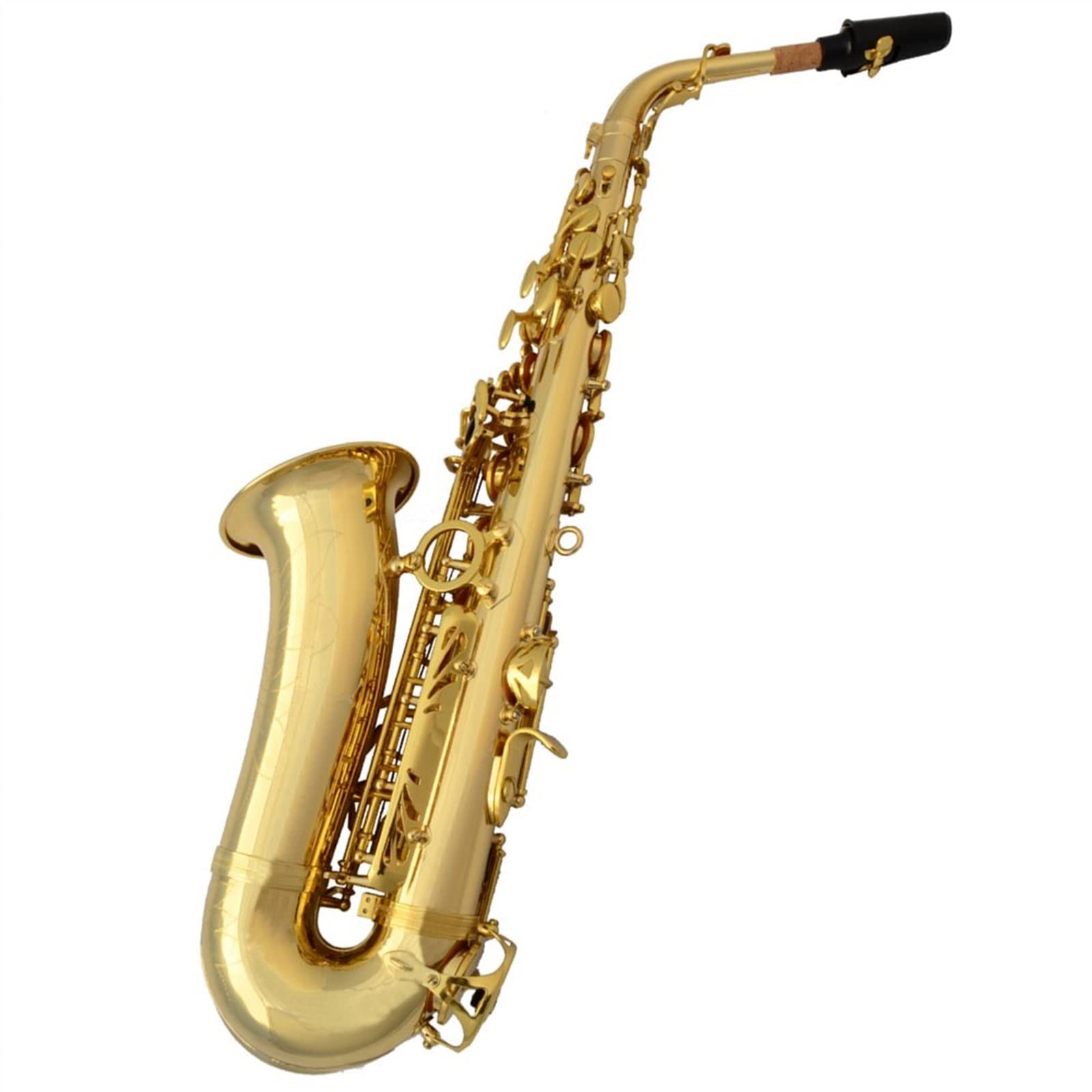 Sax Studente Sassofono Contralto Professionale in Mi Bemolle Sassofono Laccato Oro con Accessori per Sax