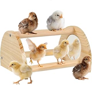Chicken Perch - Chicken Roosting Perch with Natural Solid Wood, Hand-Polished Freestanding Design for Birds, Chicks & Parrots | Bird Cage Entertainment (Small, Semi-Circular with Mirror)