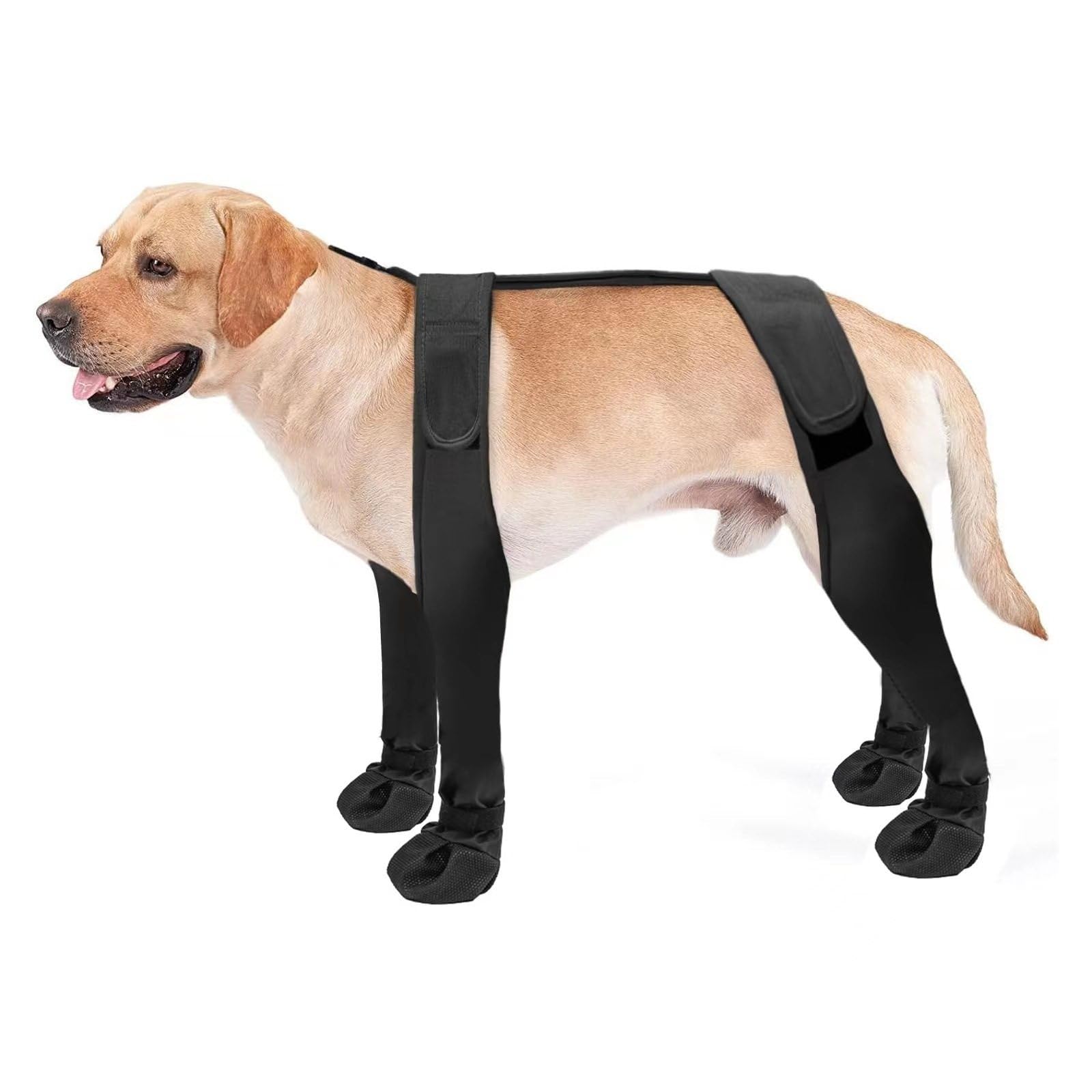 PetPhindU Dog Suspender Boots Tall Dog Boots Anti-Slip Fall Waterproof Dog Shoes Leggings Adjustable Suspender Boots Dogs Winter Snow Rain Hiking Paws Protector Dog Rain Shoes (M,Black)