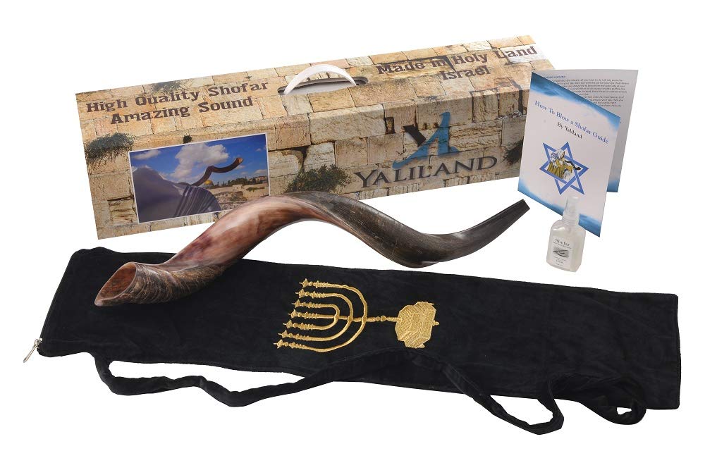 Authentic Kudu Shofar Horn Set by Yaliland | Yemenite Style Half Polished, Half Natural | Includes Velvet Bag, Cleaning Spray, Guide & Carrying Box (28-30 Inch)