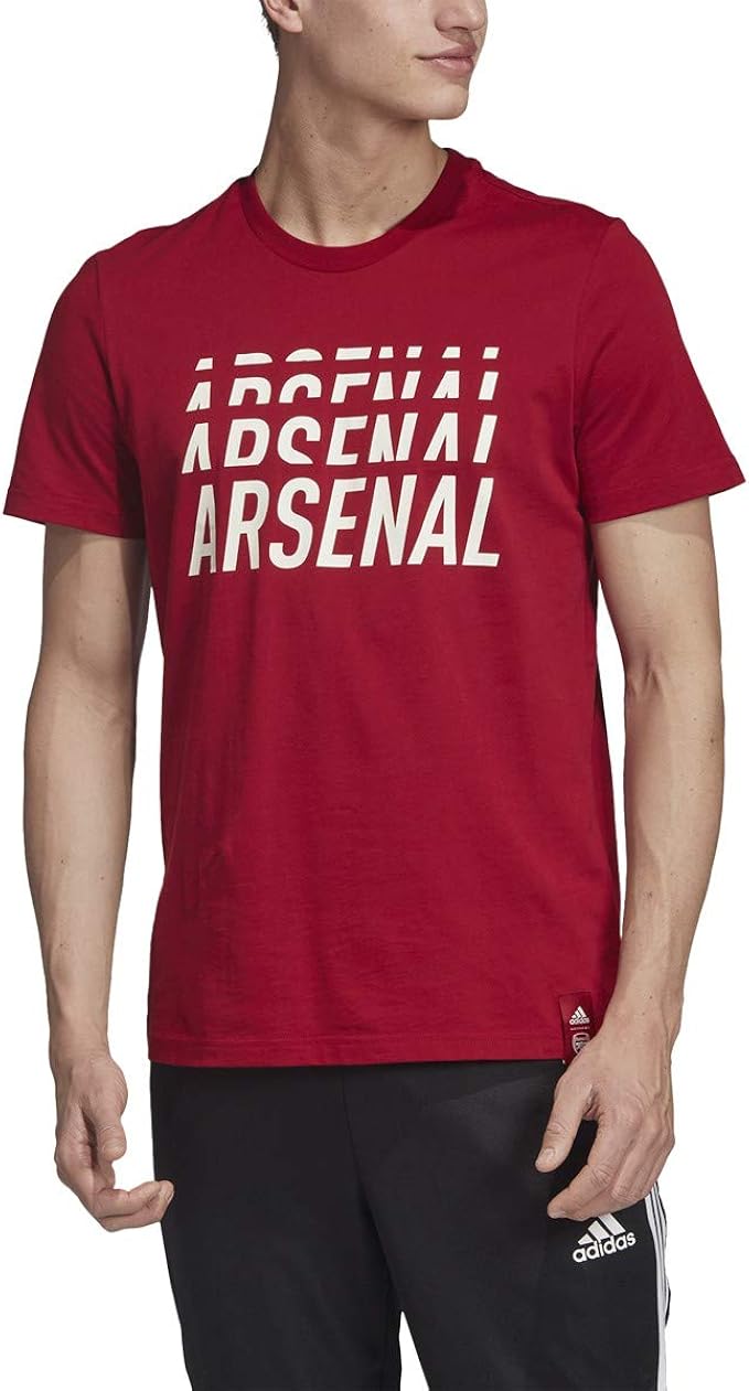 adidas Men's Arsenal FC DNA Graphic Tee 