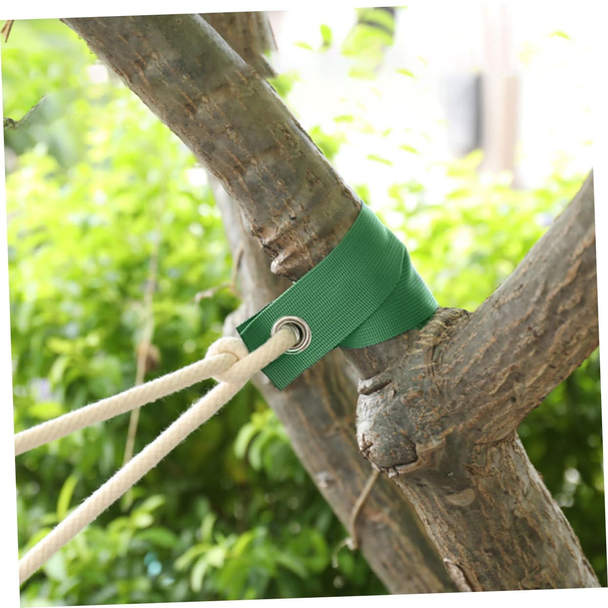 Attaches pour Plantes 1 Rouleau De Sangles pour Arbres Dextérieur Sangles De Soutien Coupe-Vent Matériau en Toile Robuste Facile À Couper Et À Ajuster
