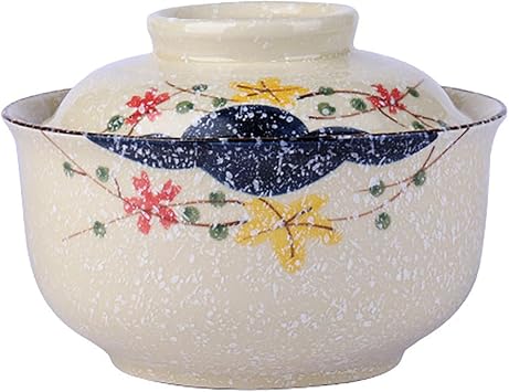 Ceramic Ramen Bowl with Lid, 25 Oz Big Bowl for Noodle, Soup, Porridge and Rice, Japanese Style, Korean Clay Pot, Oven, and Microwave Safe Pattern C