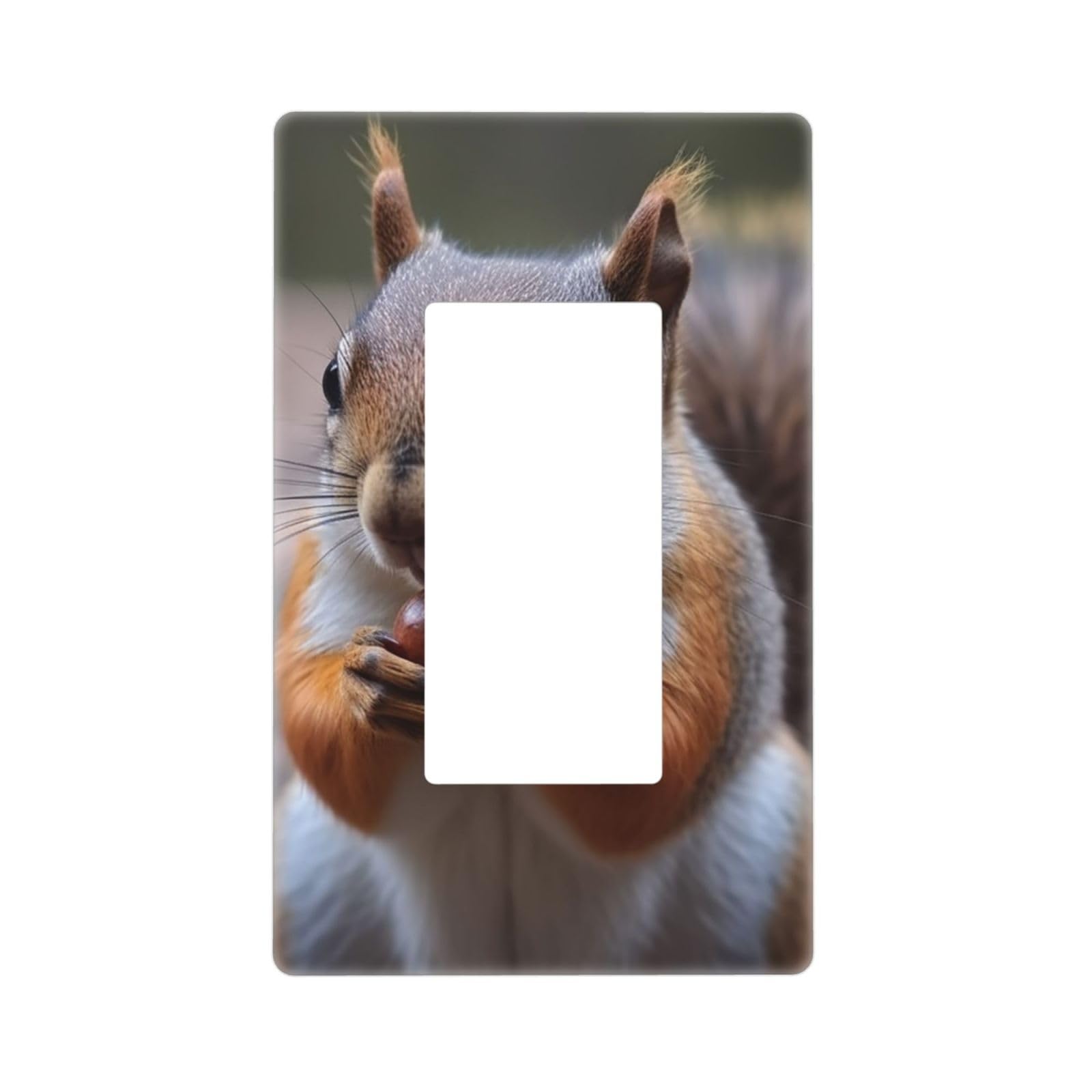 Decorator Wall Plate 1 Gang Light Switch Covers Decorator Receptacle Outlet Covers Cute Squirrel Wall Plates for Electrical Outlets Plug Cover Single Rocker Switch Plates