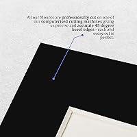 Vista 20 de HWC Trading Bryan Cranston & Aaron Paul Breaking Bad Walter White & Jesse Pinkman 16 x 12 pulgadas (A3) - Regalos impresos con autógrafo