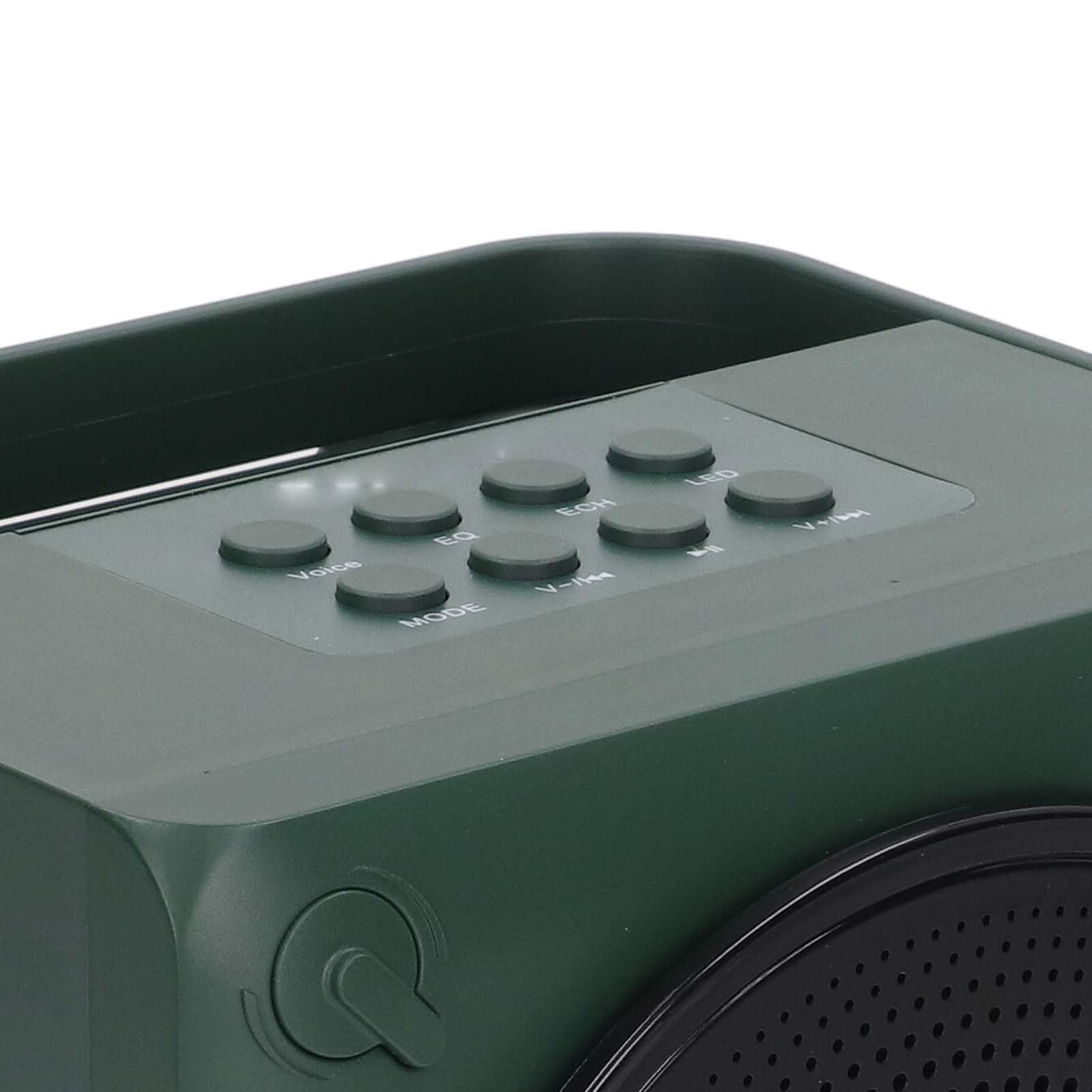 Macchina per Karaoke con Microfono Wireless con Batteria a Lunga Durata, Mini Portatile per Bambini, Adulti, Canta a Squarciagola, connettività (verde) (Verde)