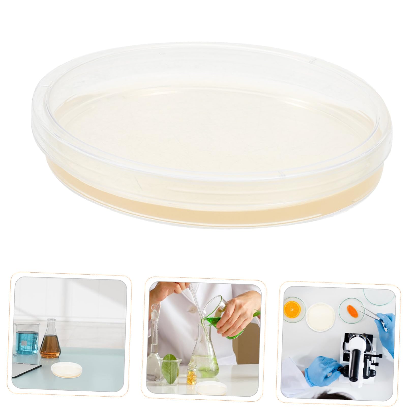CHILDWEET Piastre di Petri in Plastica Sterile Rotonde 20 Pezzi 9cm in Agar Nutriente Precoltivate per Esperimenti Scientifici e Coltura Cellulare in Laboratorio