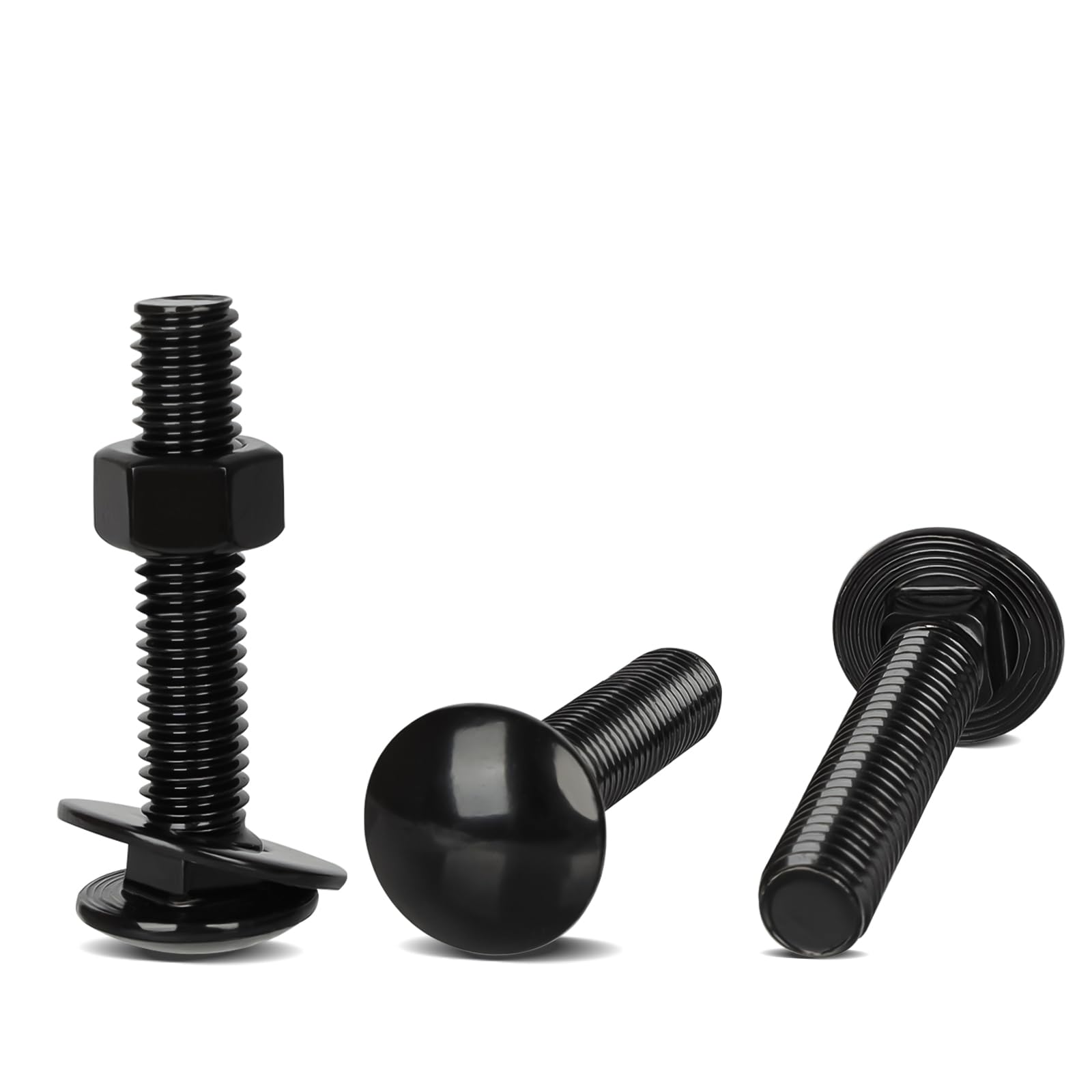 Stainless Steel Carriage Bolts - 12 Sets 1/4-20 x 1 -5