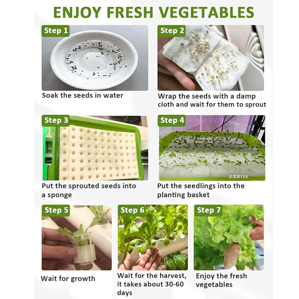 216 Sites - Kit de cultivo hidropónico de 4 capas, 24 tubos, sistema de cultivo hidropónico para verduras de hoja con bomba de agua para frutas, verduras, hierbas