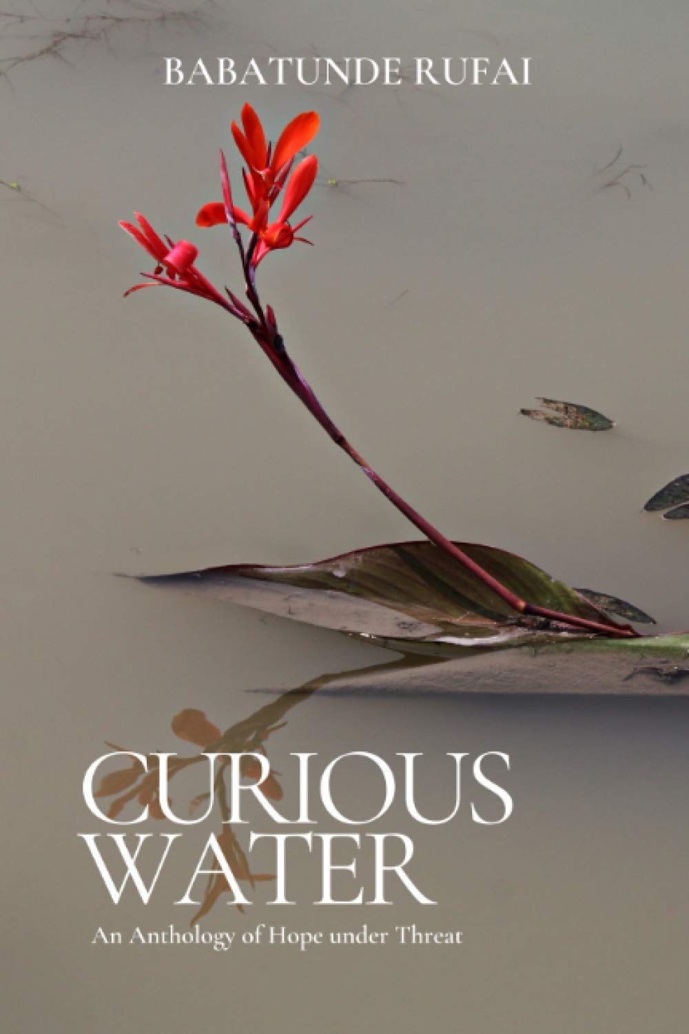CURIOUS WATER: An Anthology of Hope under Threat