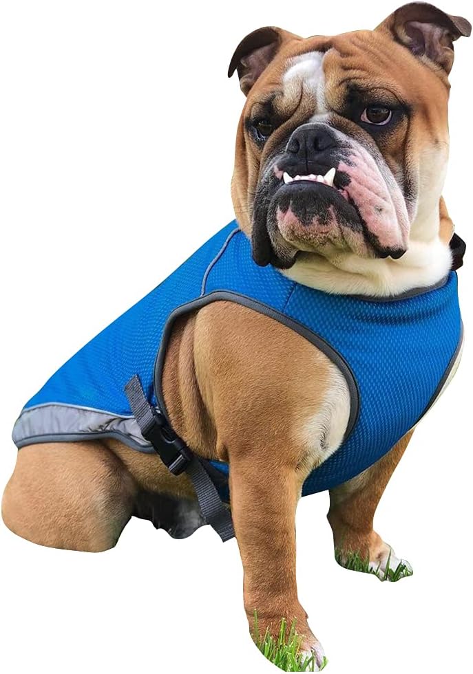 Icouchi 犬用 冷却ベスト 中大型犬用 ひんやり タンクトップ クールベスト 冷感犬服 ペットクーリングベスト ペット用品 ドッグウェア 冷却コート 夏 犬用夏服 夏服 熱中症対策 日焼き防ぐ 暑さ対策 脱毛保護 防虫 快適 着脱簡単 通気 汗吸収 Boothdesignmalaysia Com