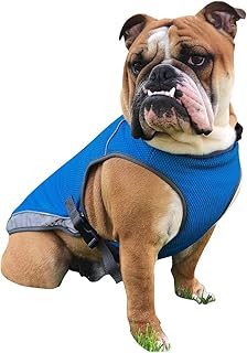 Amazon Co Jp クールベスト 犬